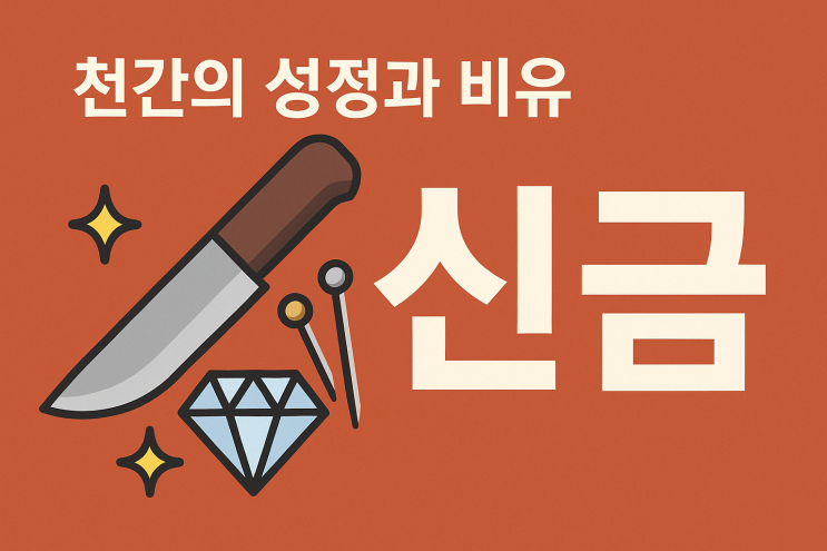  신금에 대해서
