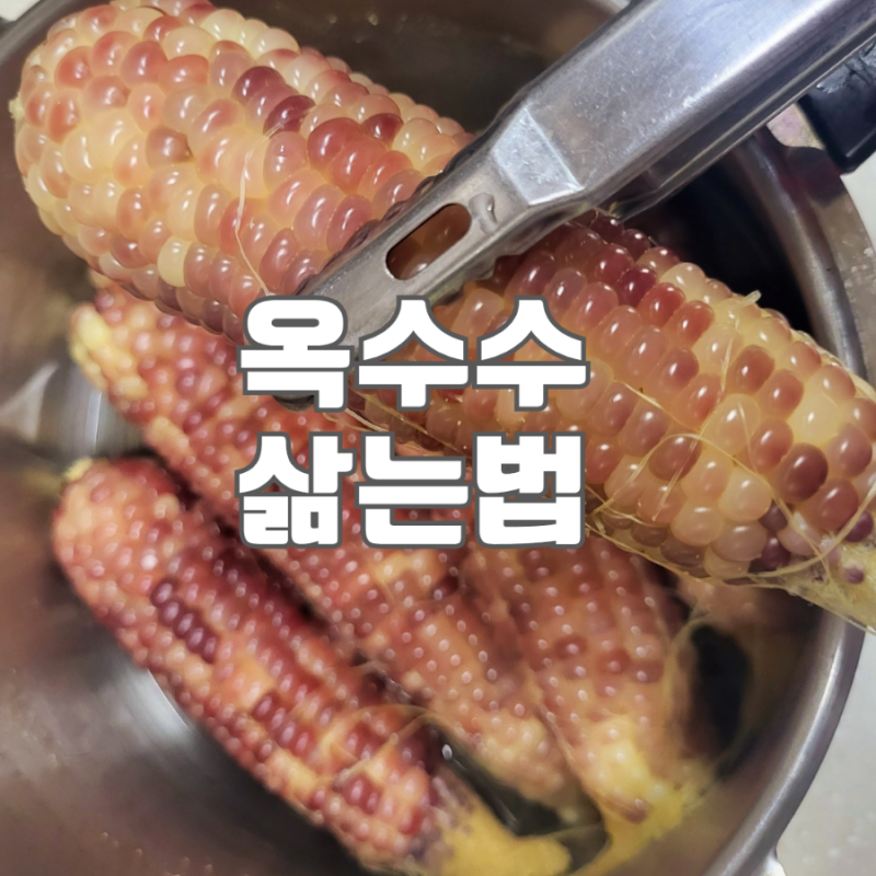 옥수수 삶는법 뉴슈가 대신 슈가파우더 찌는법 찰옥수수 압력솥 삶는 시간