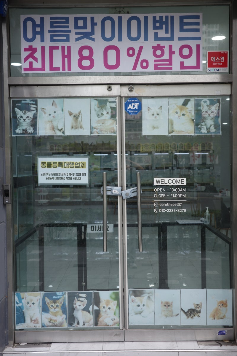 사진 2