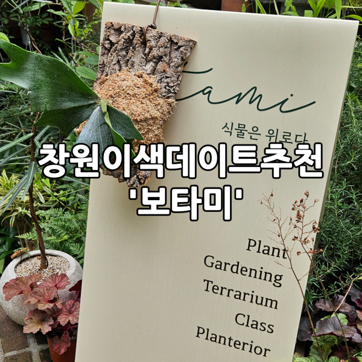  창원이색데이트추천 박쥐란부작 창원원데이클래스 '보타미'