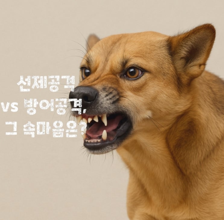  강아지가 으르렁거리는 진짜 이유 – 선제 vs 방어 공격성