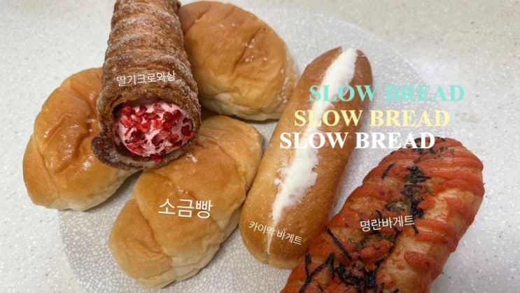  슬로우 브레드, 대전 빵투어 빵지순례 코스 추천 34년 현지인 맛집, 빵 추천