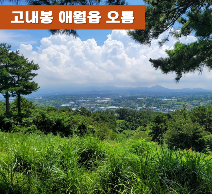  《제주오름》 고내봉 저녁노을이 아름다운 애월읍 오름