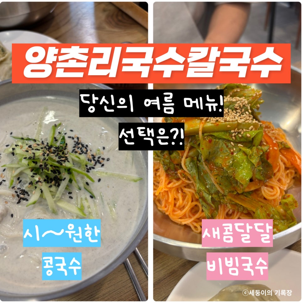 양촌리국수 사진 1