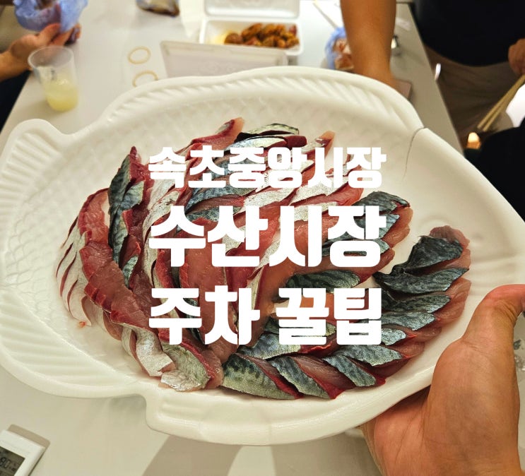  속초중앙시장 | 내돈내산 지하 회센터 회포장 고등어회 후기 및 먹거리 관광 그리고 주차장 주차 꿀팁