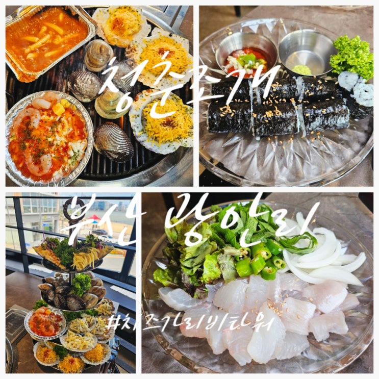  광안대교조개구이 맛집 청춘조개 광안본점 솔직 후기 치즈가 흐르는 가리비 타워까지 완벽했던 런치