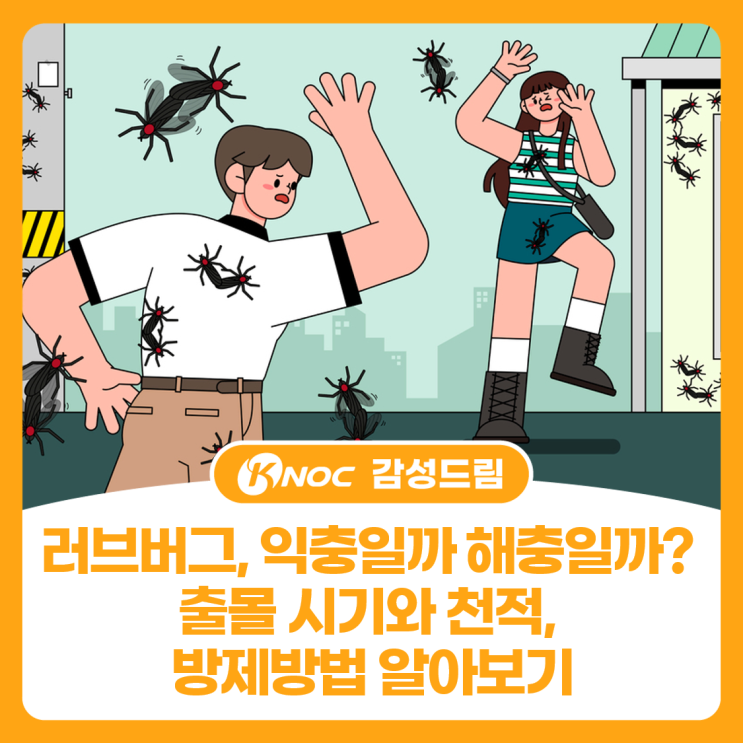 러브버그, 익충일까 해충일까? 출몰 시기와 천적, 방제방법 알아보기