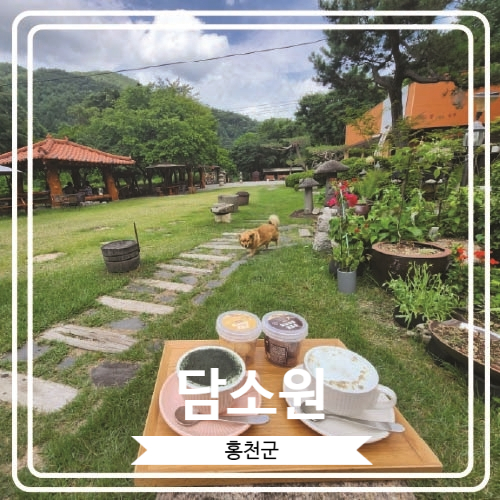  [담소원] 자연 속에서 힐링 할 수 있는 홍천애견동반카페