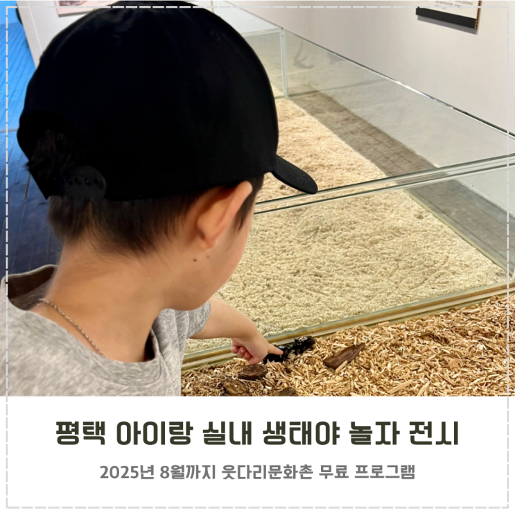  평택 아이랑 실내 무료 웃다리문화촌 생태야 놀자