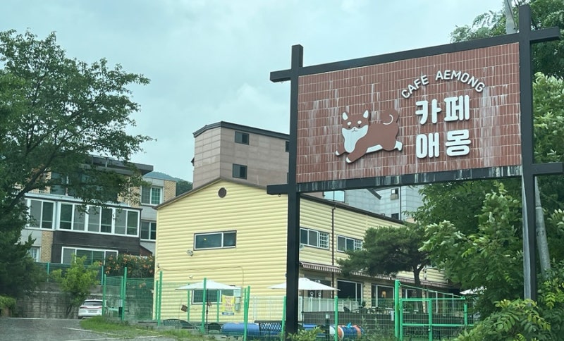 카페애몽 애견카페