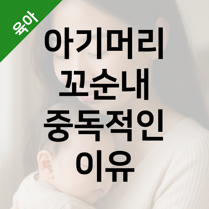  아기 머리 꼬순내 - 좋게 느껴지는 과학적 이유