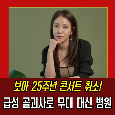  보아, 급성 골괴사로 25주년 콘서트 결국 취소 "춤도 못 춘다"