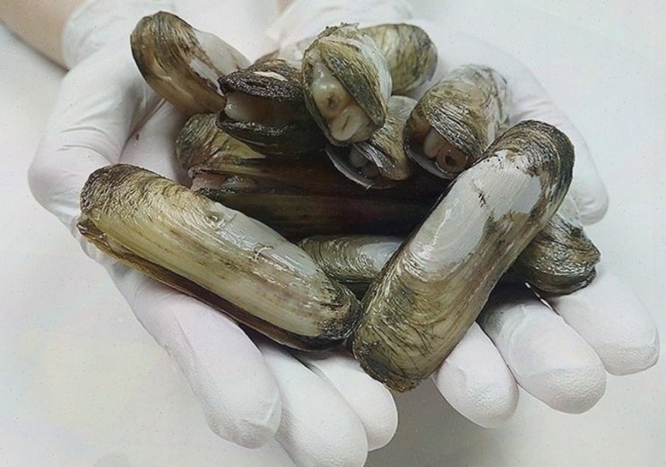  신선한 과일을 원한다면? 순천과일 전문 빨간사과에서 만나요!