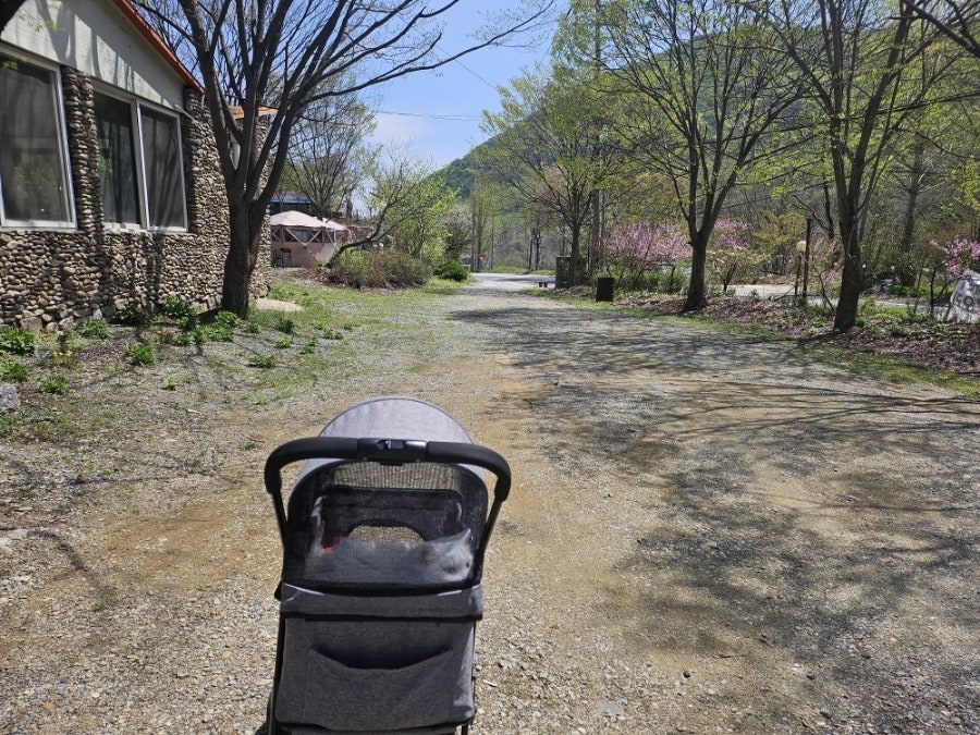 토비하우스 사진 2