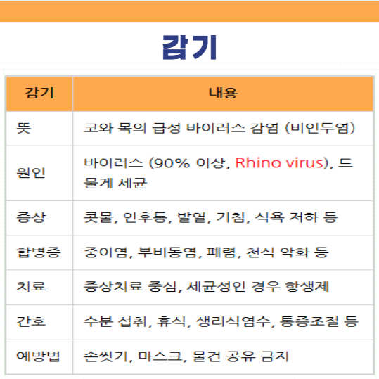감기 비인두염 원인 세균성 바이러스성 전염경로 증상 치료