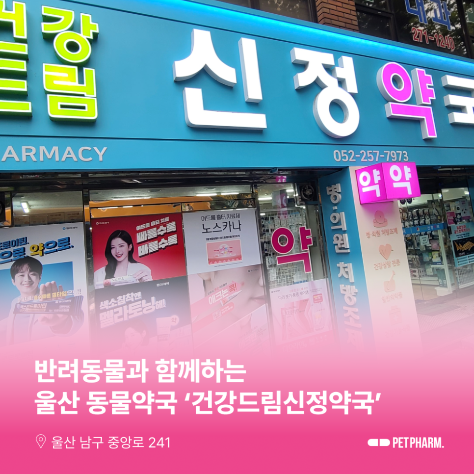 건강드림신정약국 사진 1