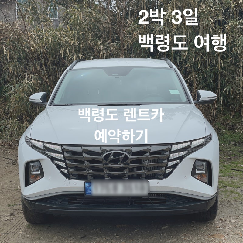 백령도 여행3 백령도 렌트카 예약 간단 후기