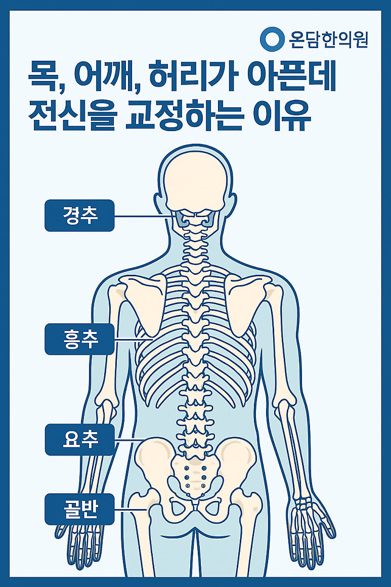 목, 어깨, 허리가 아픈데 전신을 교정하는 이유 [대전추나요법]