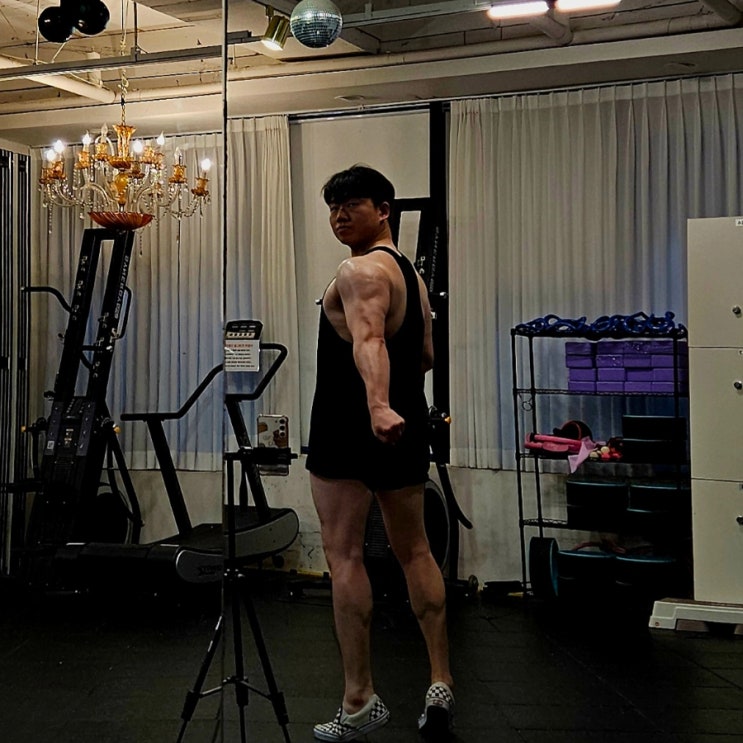 250714 삼두 이두 운동루틴 체형분석