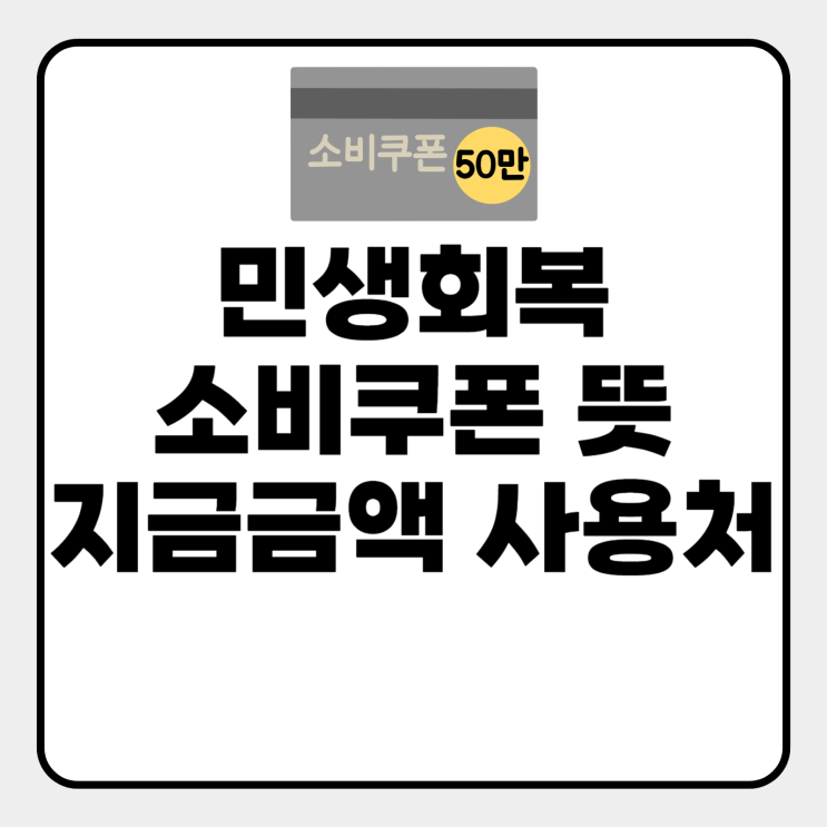  소비쿠폰 뜻