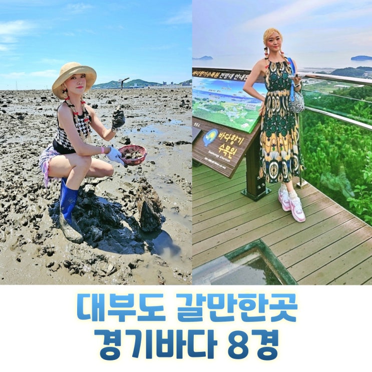  대부도 갈만한곳 갯벌체험부터 동춘서커스까지 경기바다 8경 당일치기 코스