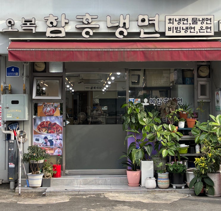  서울 숙대 골목식당에 나온 회 냉면 맛집 남영동 오복함흥냉면