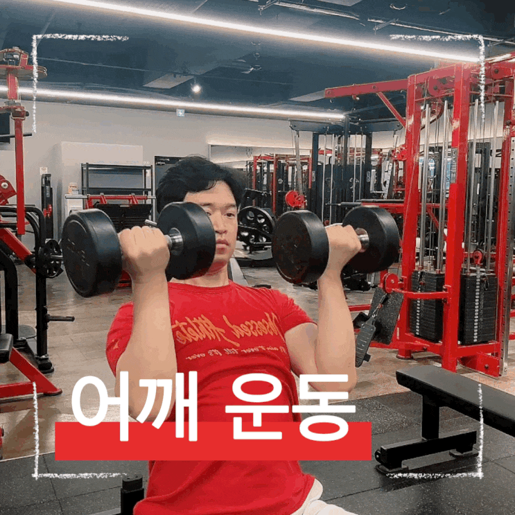  전면 측면 어깨 운동, 동시 공략! 아놀드 프레스 완벽 가이드