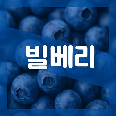 라이프 익스텐션 빌베리100mg 영양제 : Bilberry 효능 효과 부작용 복용방법