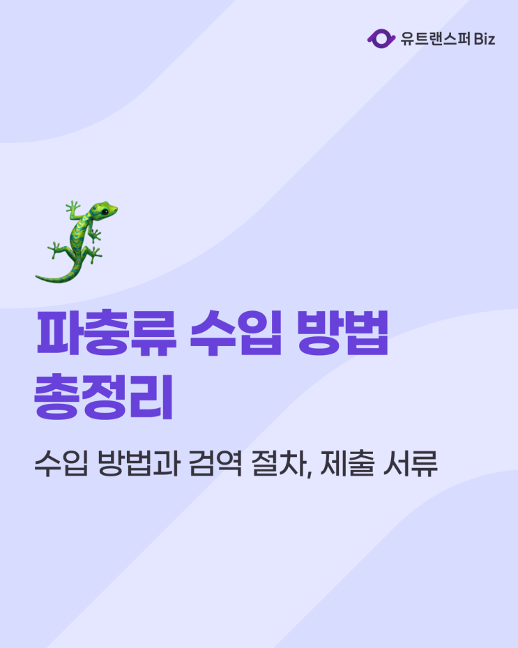  뱀, 도마뱀, 거북이 등 파충류 수입 방법과 검역 절차, 제출 서류 총정리