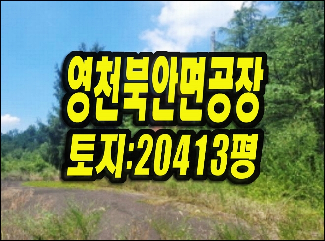  영천공장 매매 북안면 신대리 공장 경매 위드