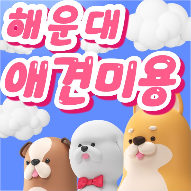  해운대애견미용 학원 실무 중심 펫뷰티션 양성소의 모든 것