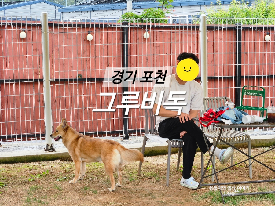 그루비독 사진