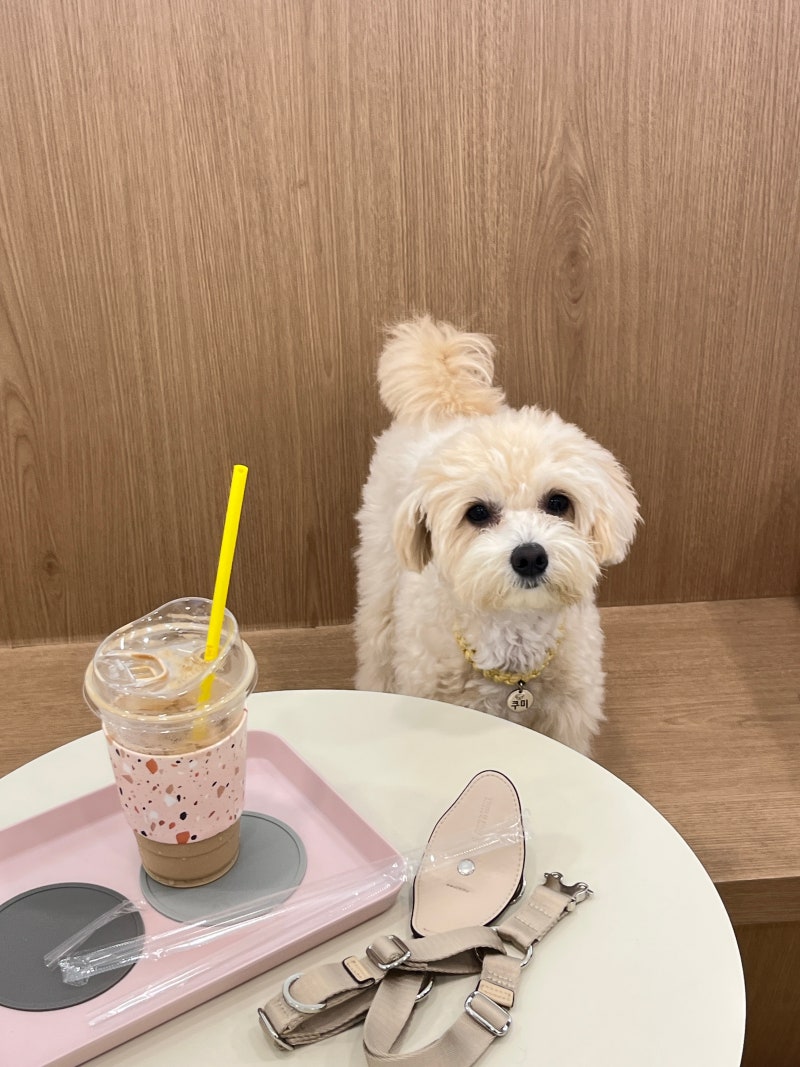 사진 2