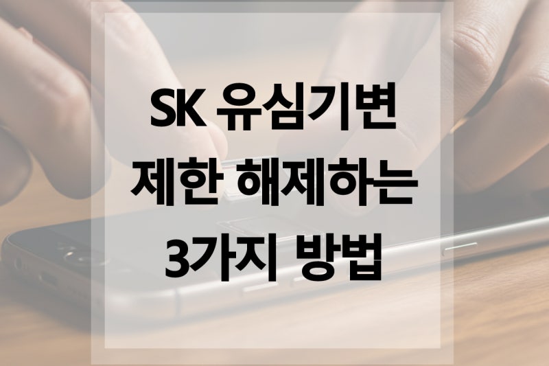 SK 유심기변 제한 해제하는 3가지 방법