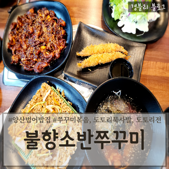  양산 물금 맛집 추천 양산 쭈꾸미맛집 양산범어밥집 '불향소반쭈꾸미 양산점'