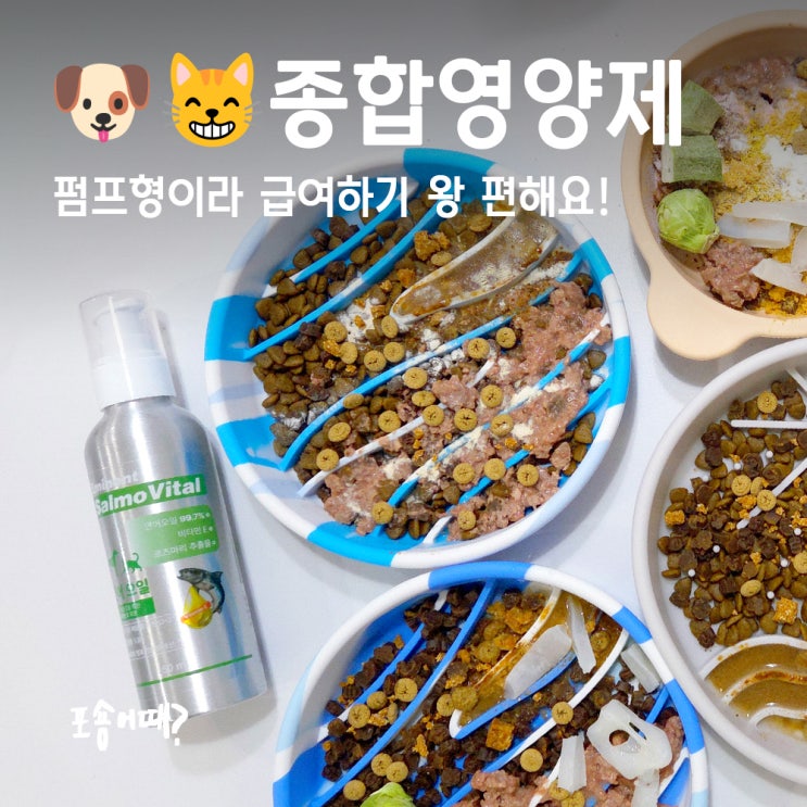  강아지종합영양제 찾는다면? 에미넌트 오메가3 연어오일 후기
