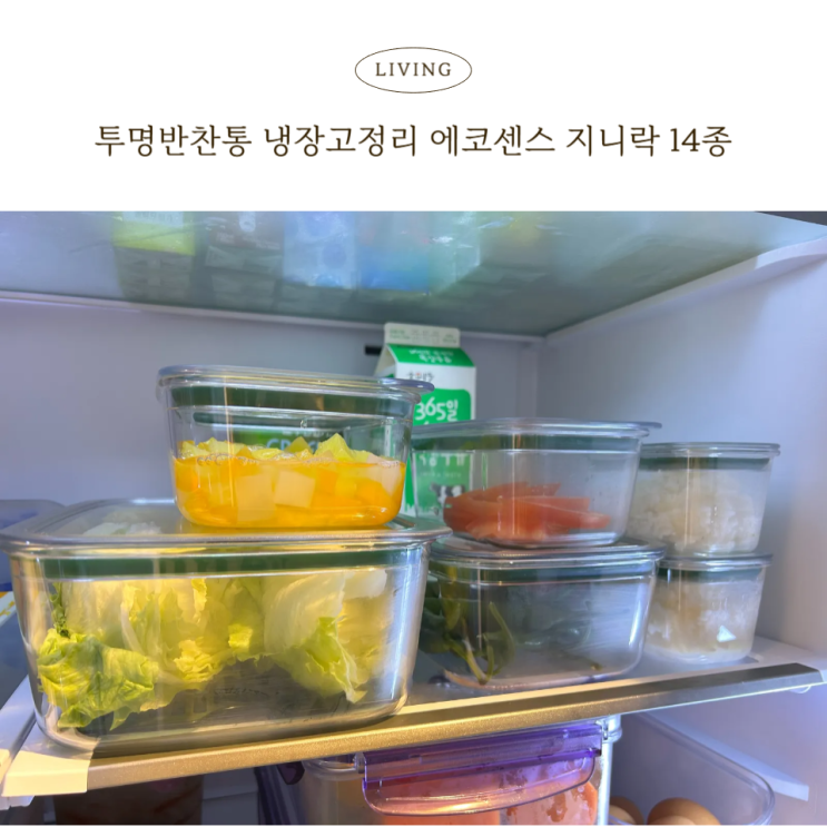  프리파라밀폐용기보다 예쁜 홈쇼핑반찬통, 트라이탄밀폐용기 지니락 14종 세트