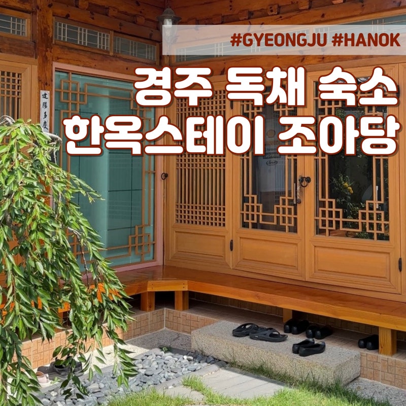 사진 7