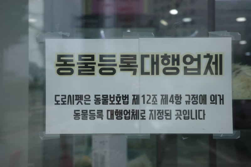 사진 3
