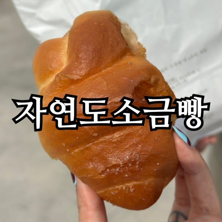  영종도 소금빵 맛집 추천｜자연도 소금빵 본점 웨이팅 꿀팁 & 보관법까지 총정리!