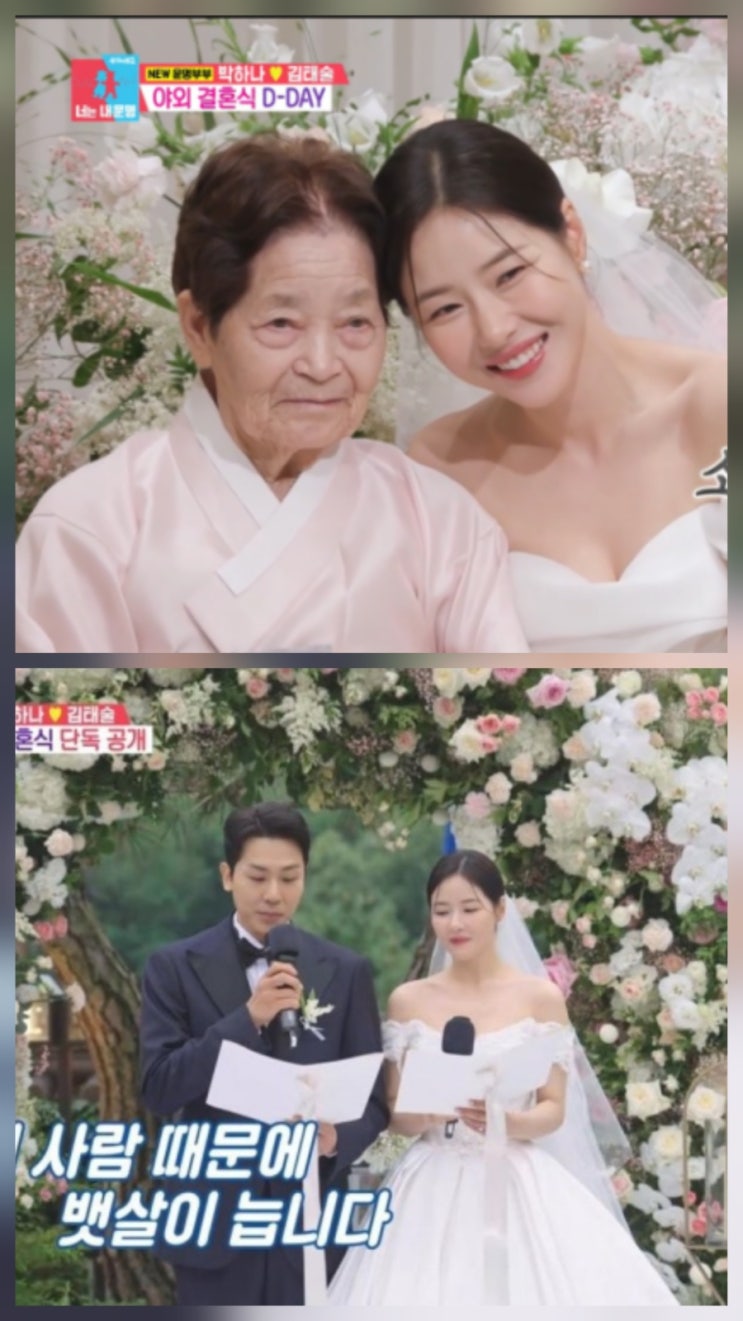 김태술 박하나 결혼식 할머니 나이 프로필 모음