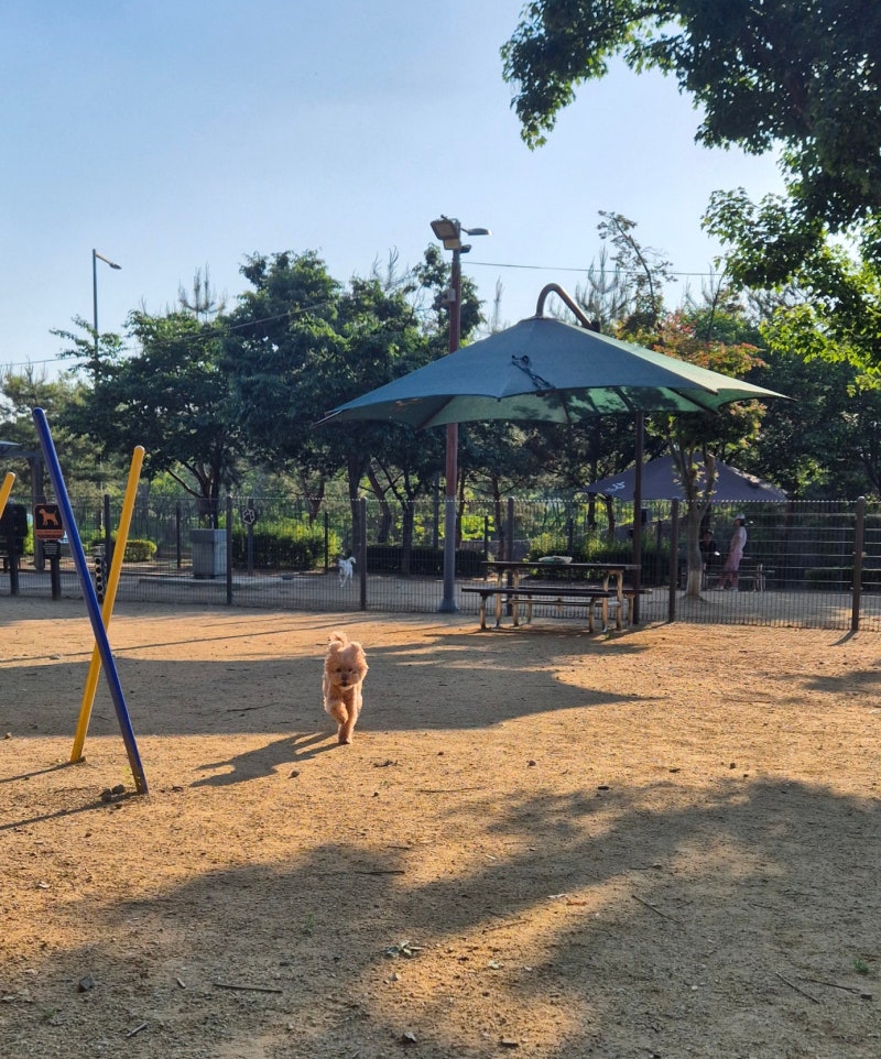 사진 5