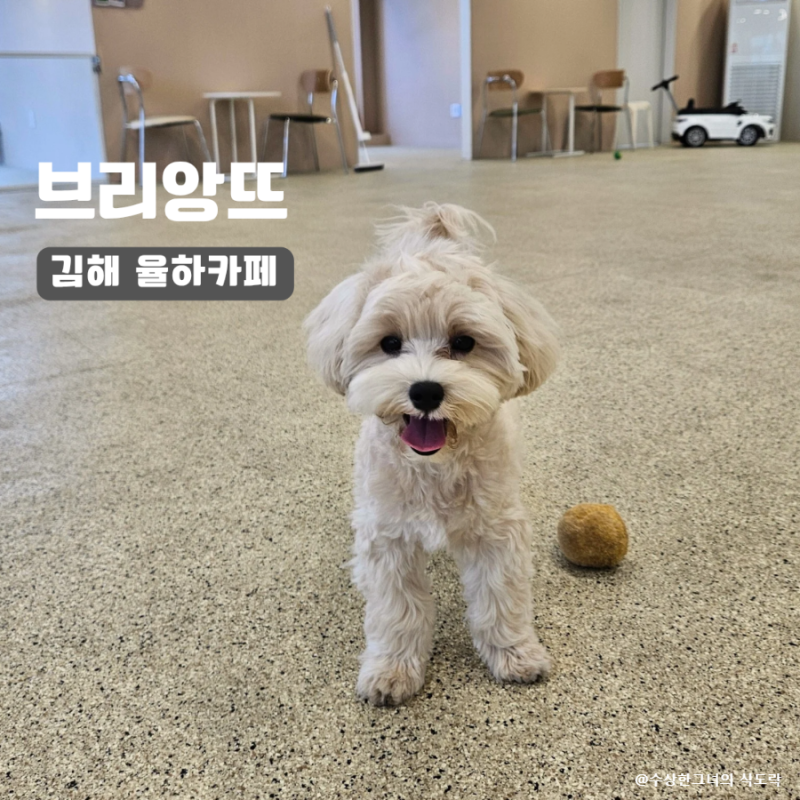 사진 4