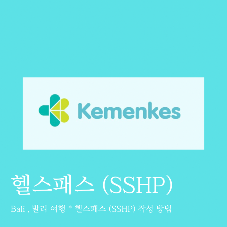 Bali , 발리 여행 * 헬스패스 (SSHP) 작성 방법