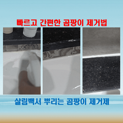  벽지곰팡이제거셀프, 벽지 곰팡이 제거법으로 쉽게 해결하기!