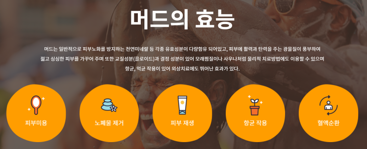 2025 보령머드축제 - 충남 보령 가볼만한 축제