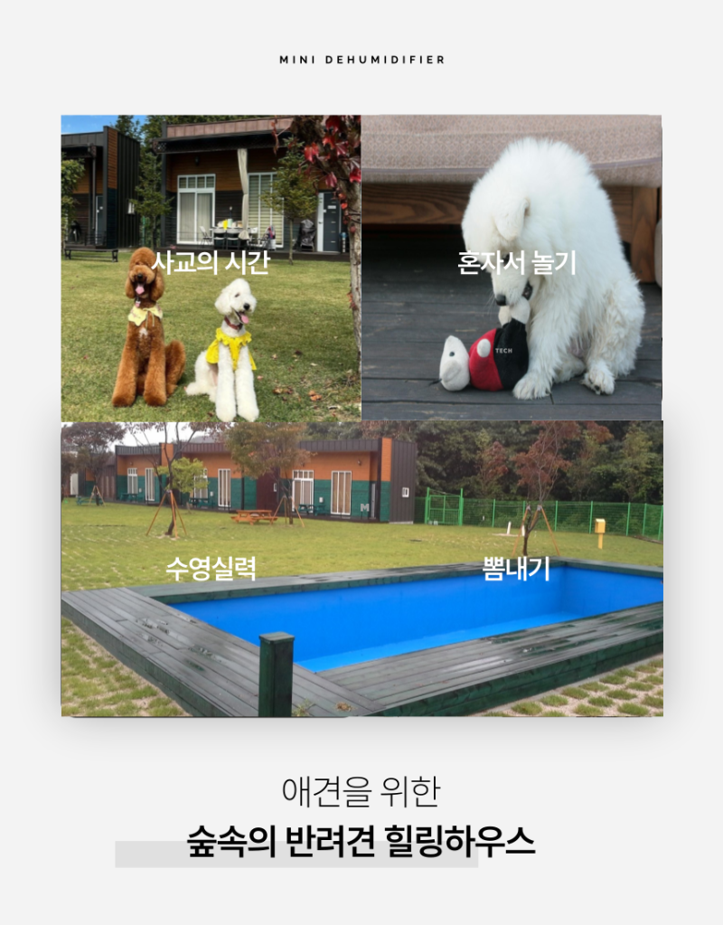 사진 5