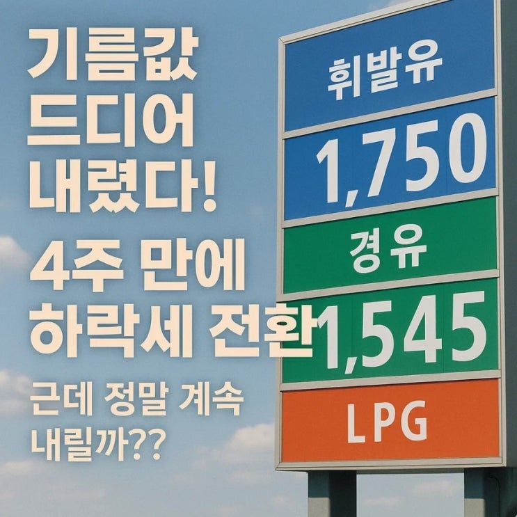  기름값 드디어 내렸다! 4주 만에 하락세 전환, 근데 정말 계속 내릴까??