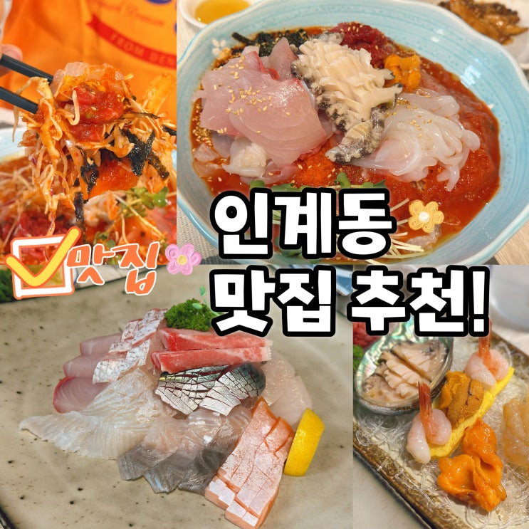  인계동 맛집 추천 새벽 숙성회 물회 솔직후기