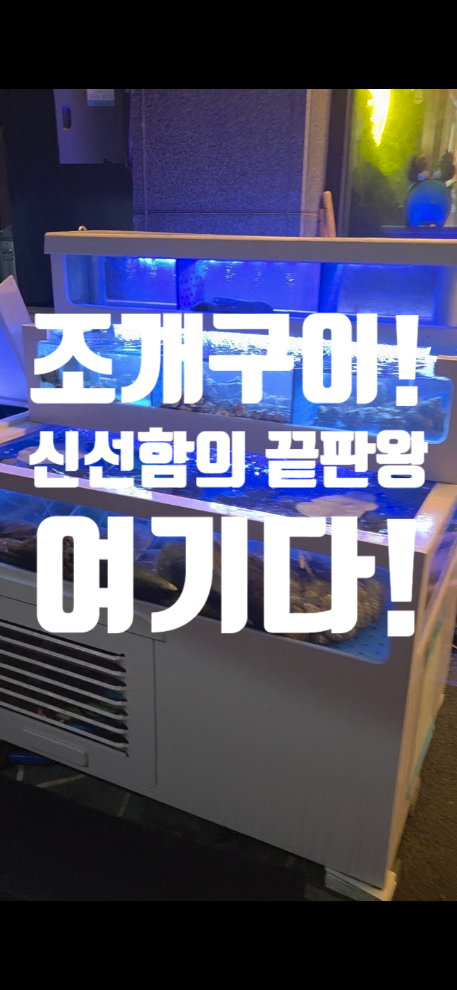  광주조개구이 맛집, 살아움직이는 조개! 신선함의 끝판왕.